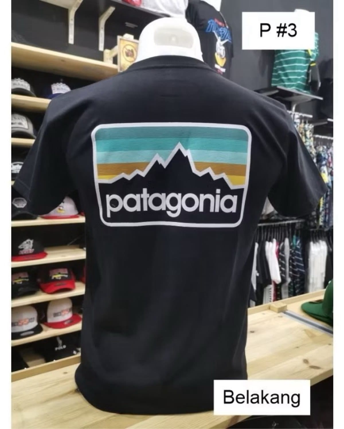 Patagonia Mountain Logo Tee -