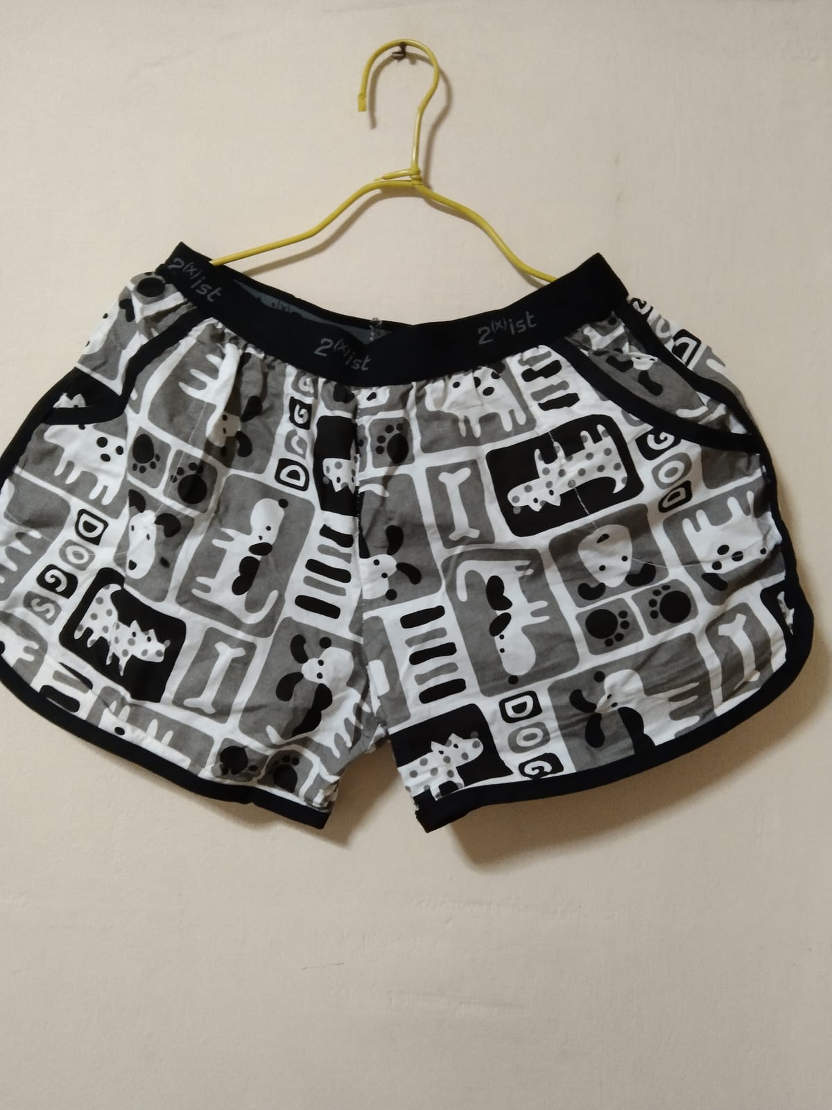 2(x)ist Playful Dog Print Shorts