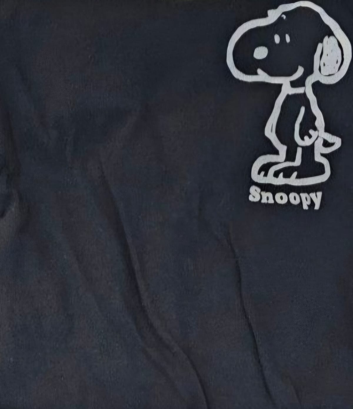 Snoopy Graphic Tee