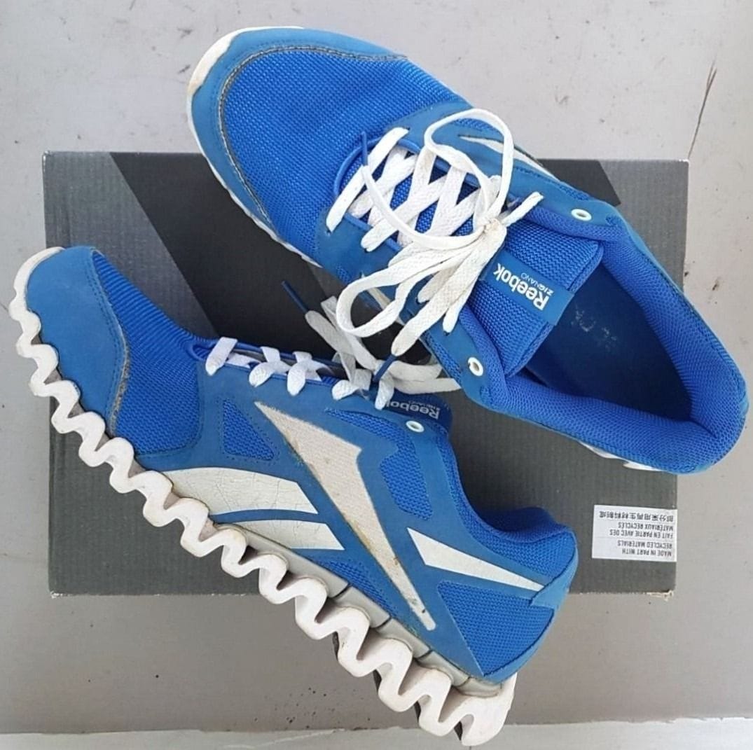 Reebok ZigNano Fly 2 Running Kicks - Retro Vibes!