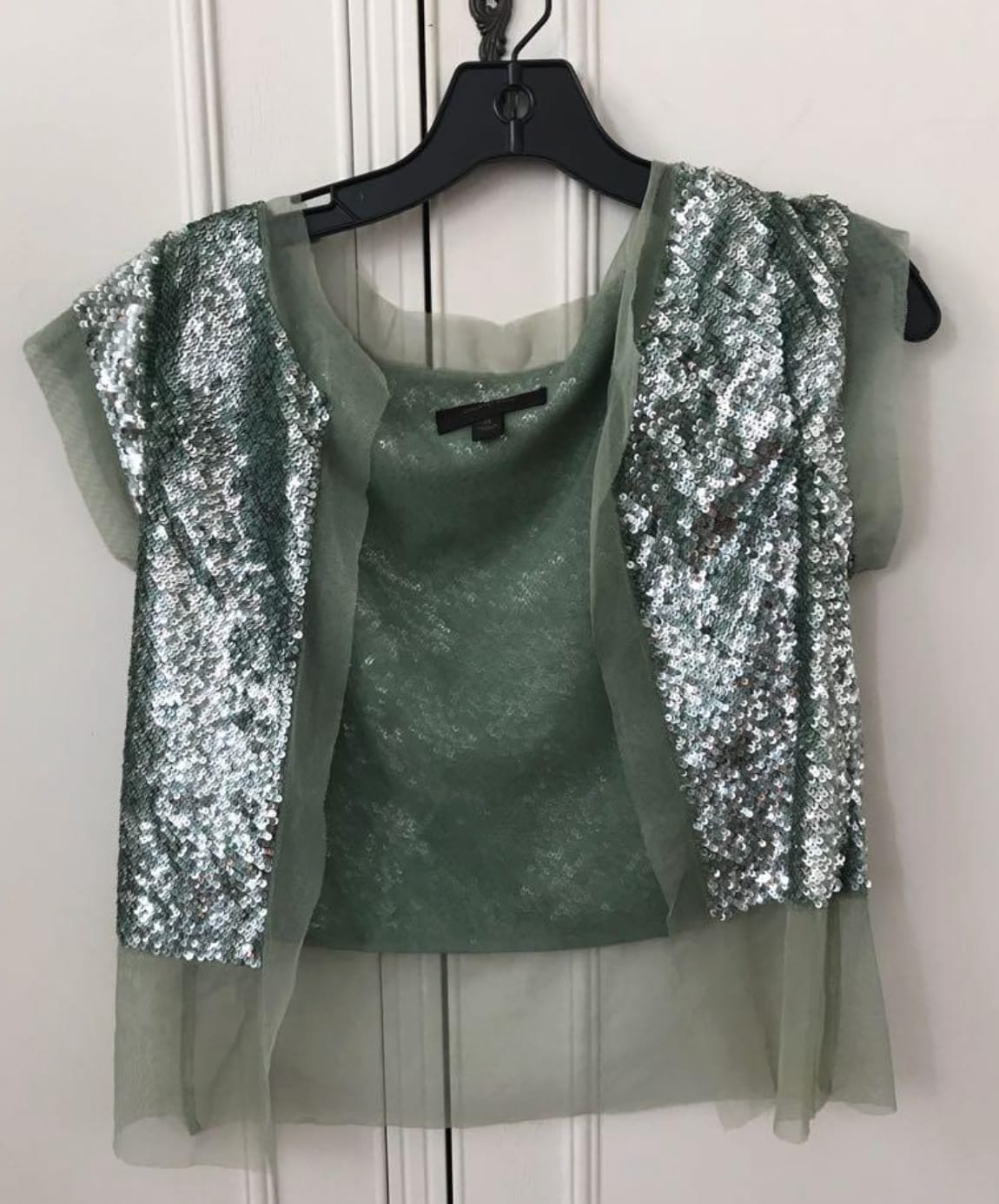 Shimmery Sage Sequin Top