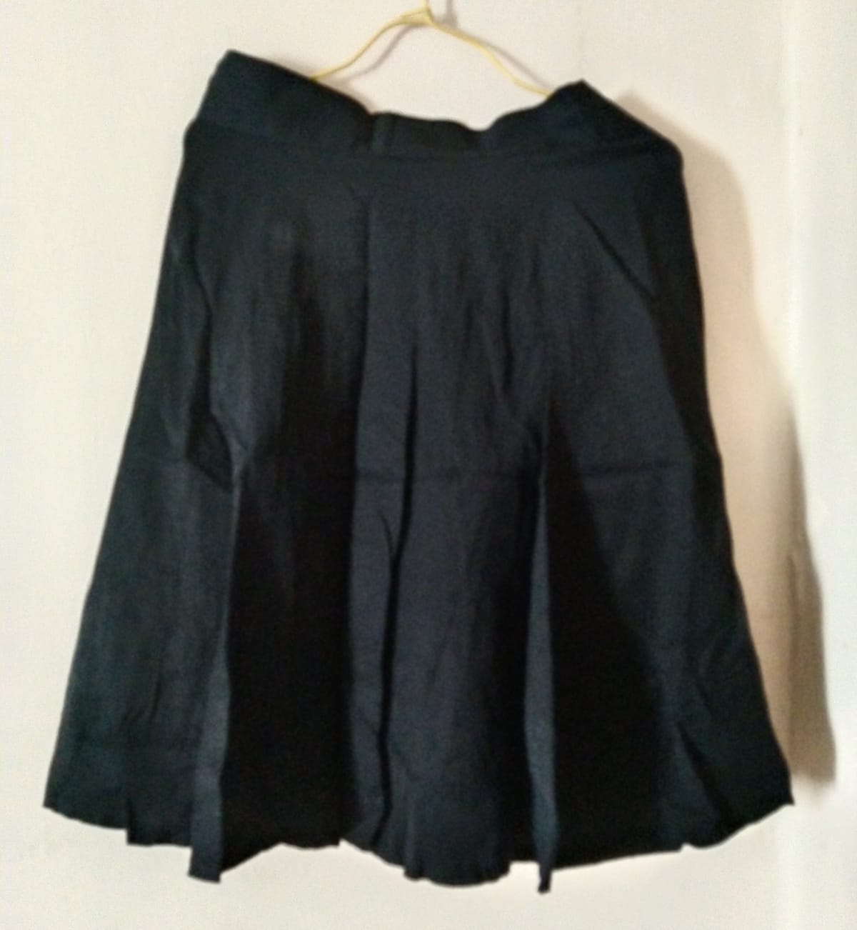 Black Pleated Skater Skirt