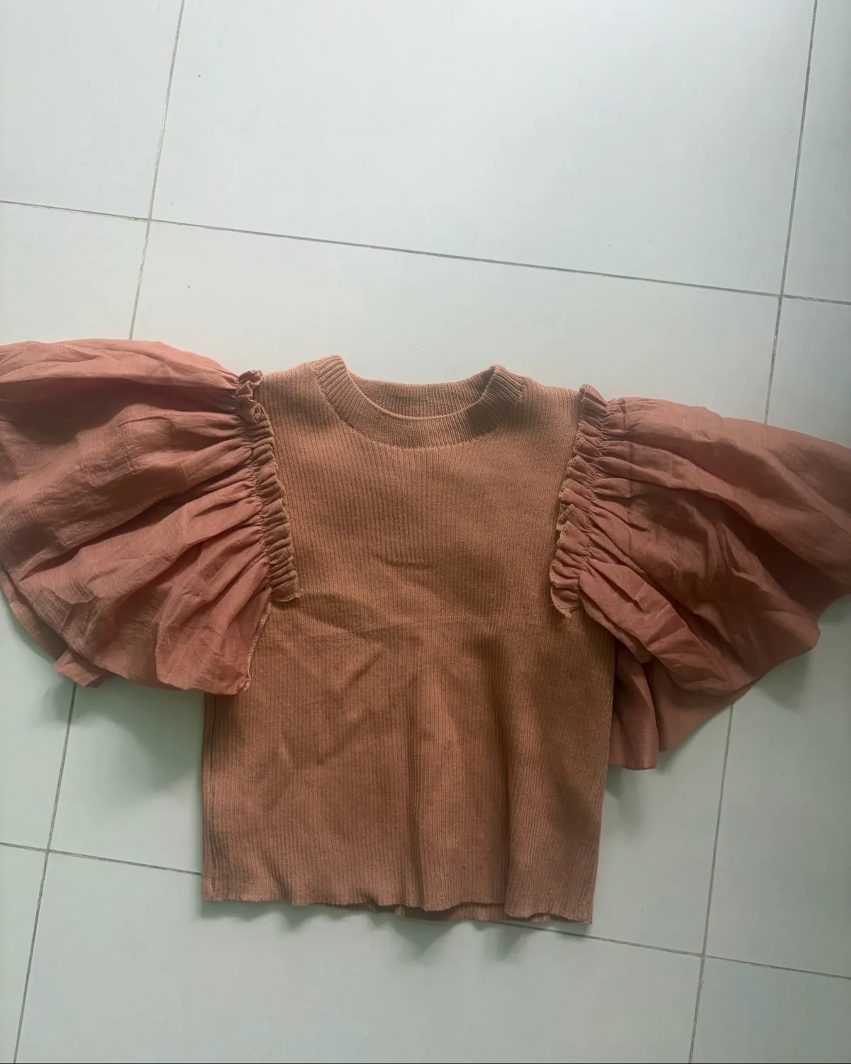 Trendy Puff Sleeve Top