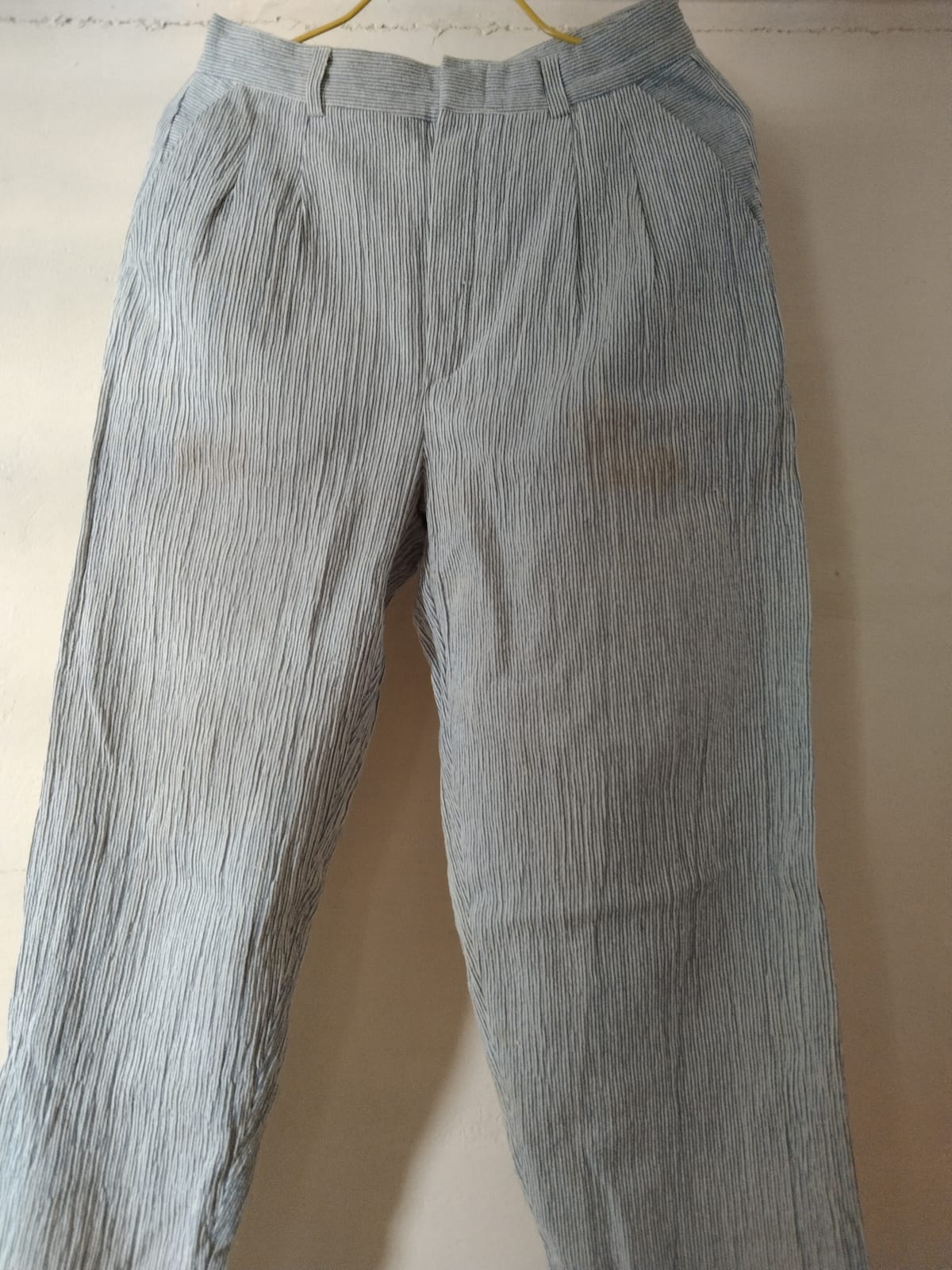 Striped Pleated Lightweight Pants