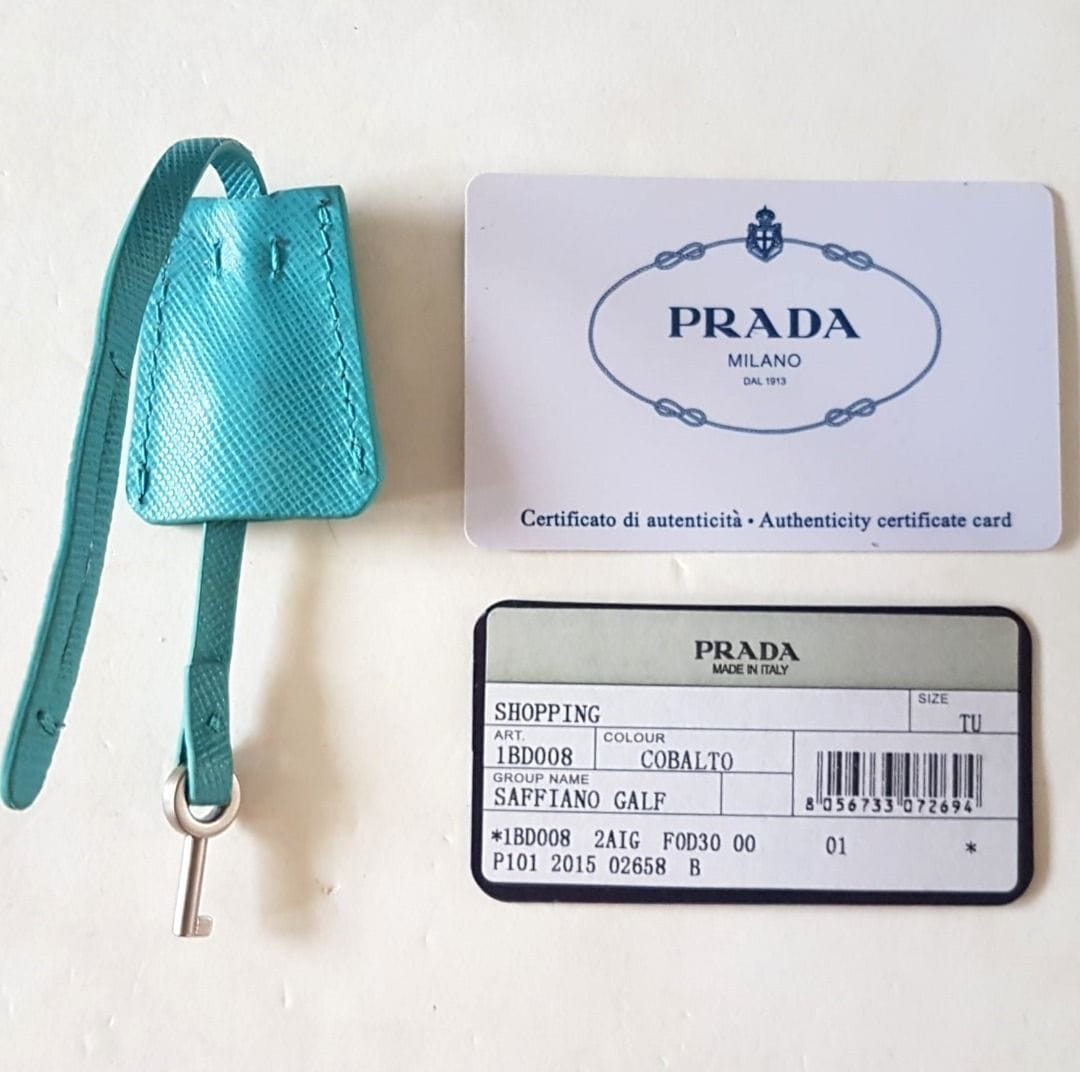 Prada PRADA Vitello Sling Bag, Original Prada Metal Closure, Prada Accordion Lock & Key Model, Made in ITALY, Retail $2400, Chain Strap, Leather Handbag, Sleek Design, Sophistication, Streetwise, Timeless Classic, Luxury Lifestyle, Pop Culture, Catwalk, Runway - Photo 8